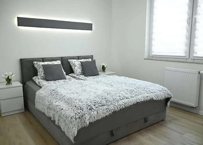 Comfortable Flat With Garden ポズナン